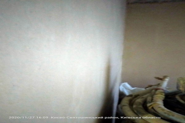 IMG20201127160953